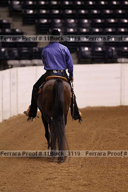 Proof 11buck_3119