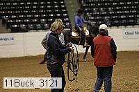 11buck_3121 proof