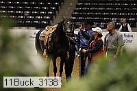 11buck_3138 proof