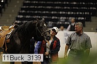 11buck_3139 proof