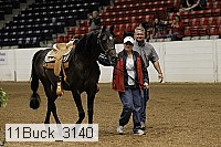 11buck_3140 proof