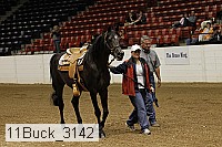 11buck_3142 proof