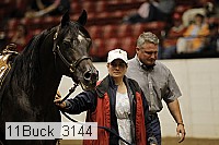 11buck_3144 proof