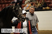 11buck_3145 proof