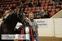 11buck_3146 proof
