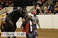 11buck_3148 proof
