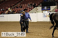 11buck_3149 proof