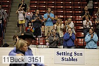 11buck_3151 proof