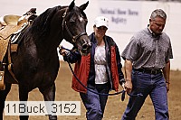 11buck_3152 proof