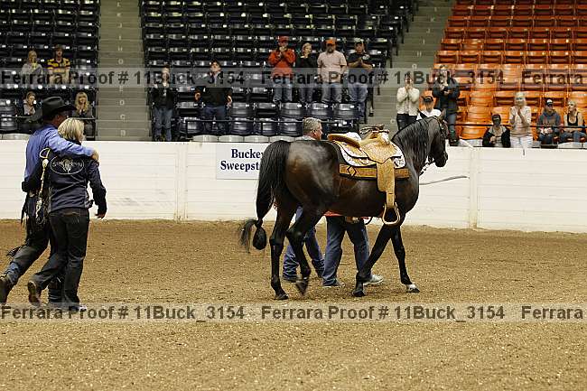 Proof 11buck_3154