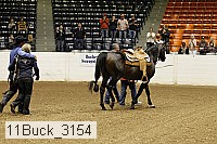 11buck_3154 proof