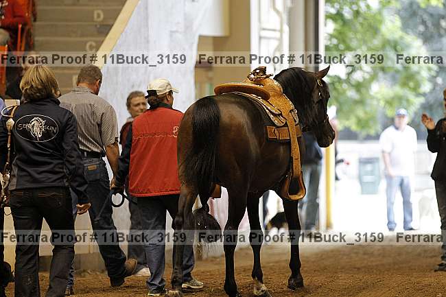 Proof 11buck_3159