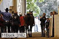 11buck_3162 proof