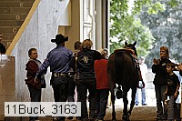 11buck_3163 proof