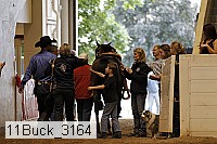 11buck_3164 proof