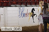 11buck_0045 proof