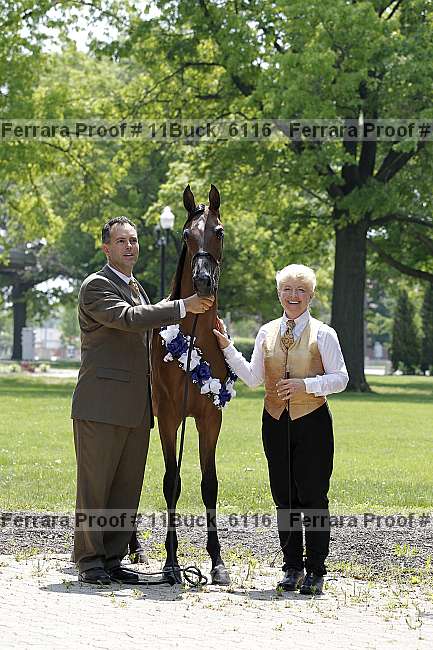 Proof 11buck_6116
