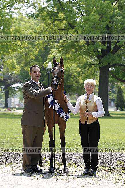 Proof 11buck_6117