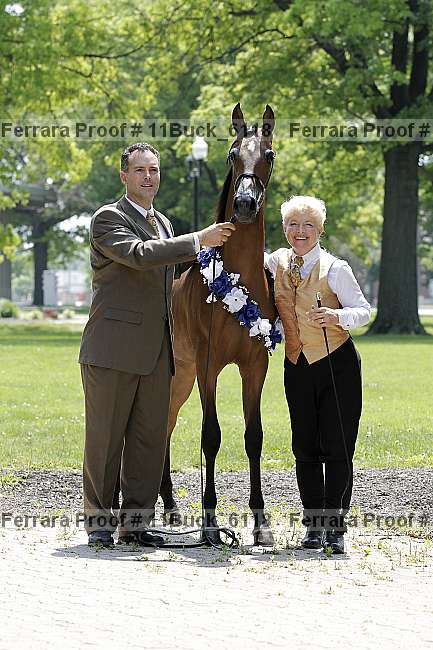 Proof 11buck_6118