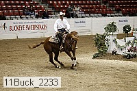 11buck_2233 proof