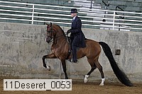 11deseret_0053 proof