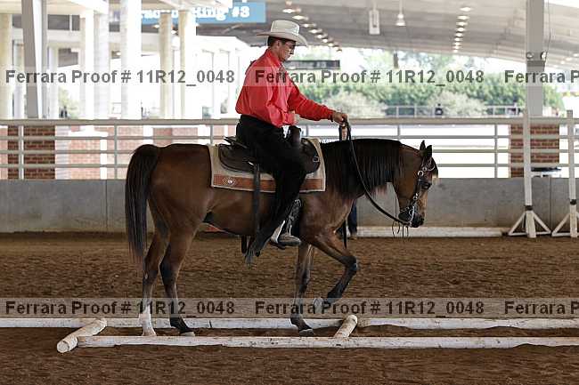 Proof 11r12_0048