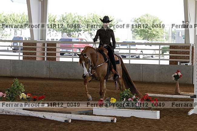 Proof 11r12_0049