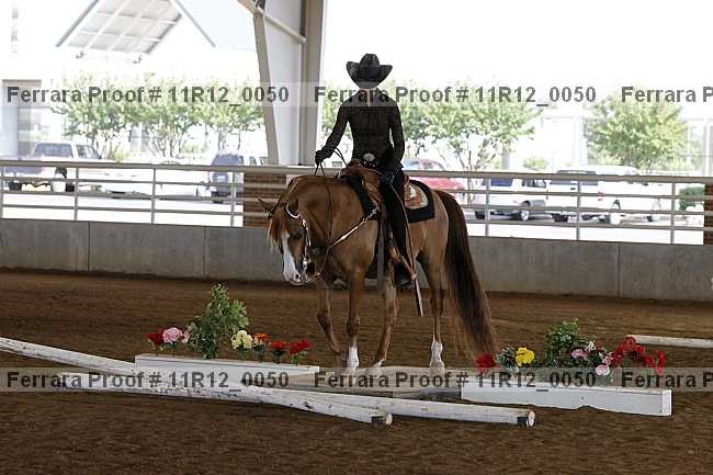 Proof 11r12_0050