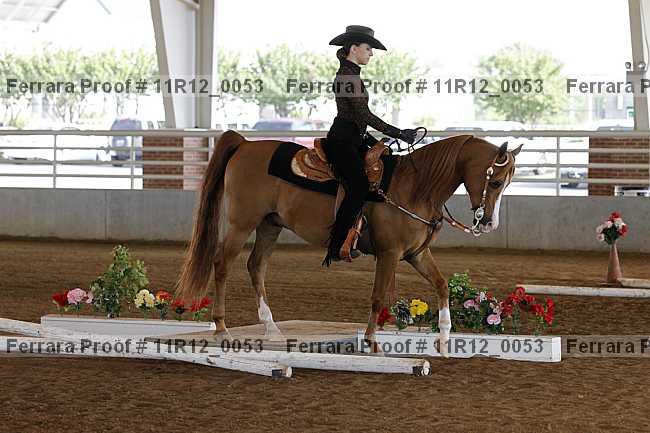 Proof 11r12_0053