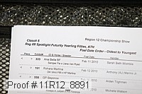 11r12_8891 proof