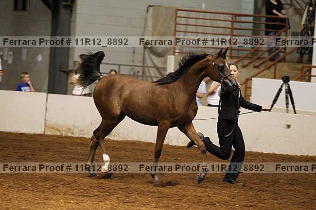 Proof 11r12_8892