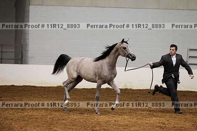 Proof 11r12_8893