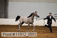 11r12_8893 proof