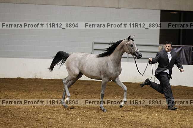 Proof 11r12_8894