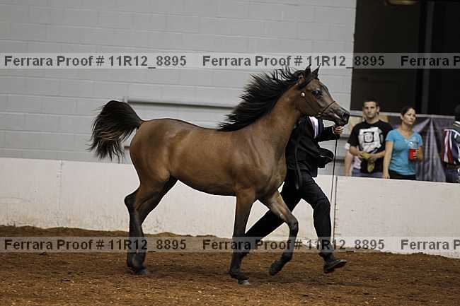 Proof 11r12_8895
