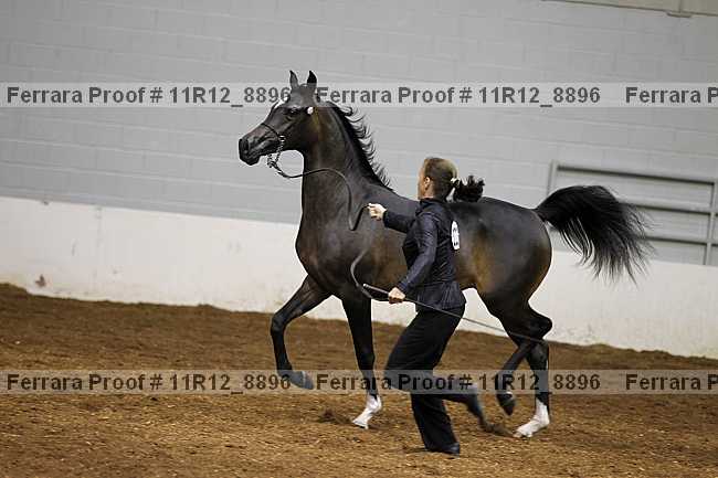 Proof 11r12_8896