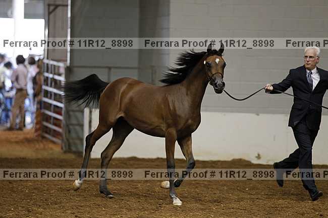 Proof 11r12_8898