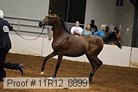 11r12_8899 proof