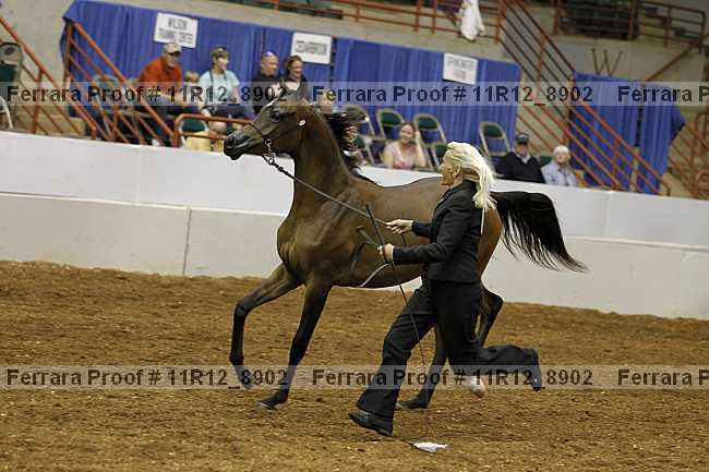 Proof 11r12_8902