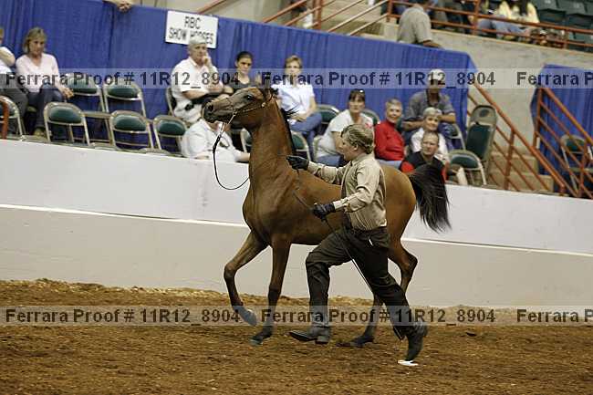 Proof 11r12_8904
