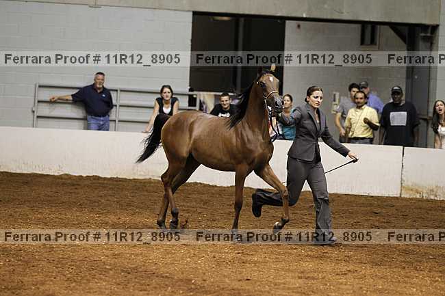 Proof 11r12_8905