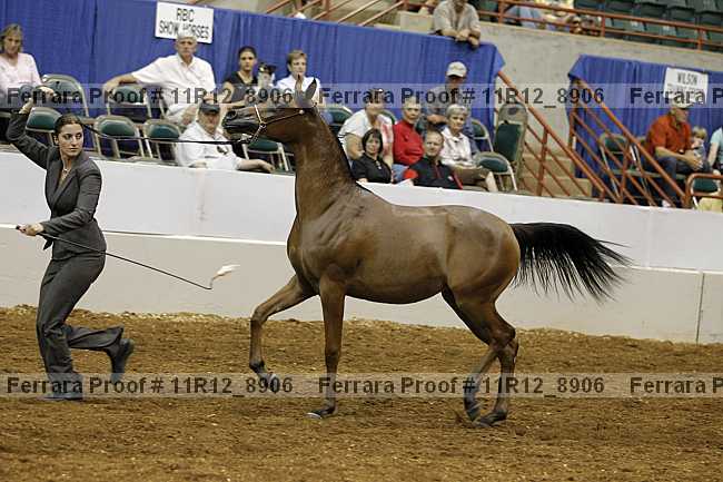 Proof 11r12_8906
