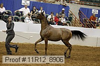 11r12_8906 proof