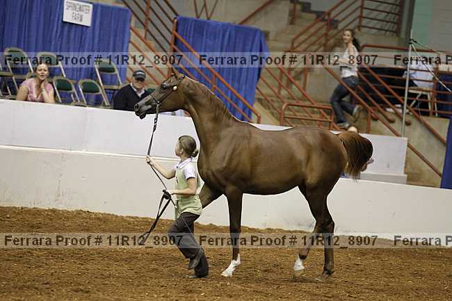 Proof 11r12_8907