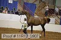 11r12_8907 proof