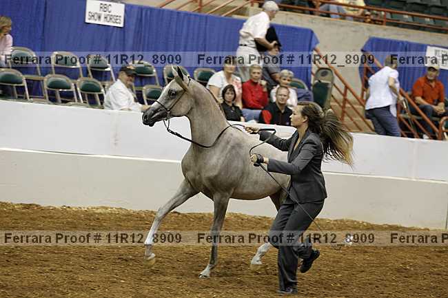 Proof 11r12_8909