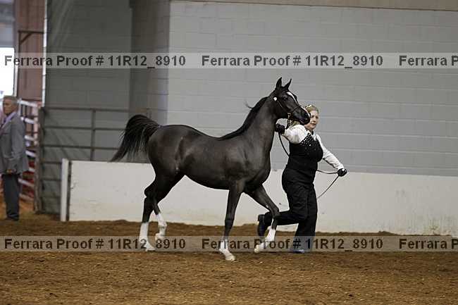 Proof 11r12_8910