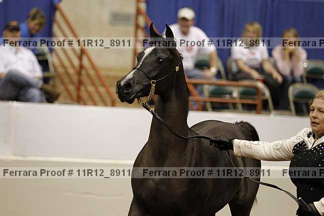 Proof 11r12_8911