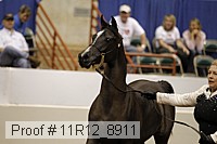 11r12_8911 proof