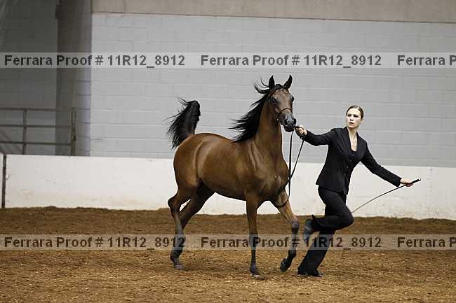 Proof 11r12_8912